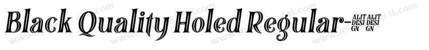 Black Quality Holed Regular字体转换
